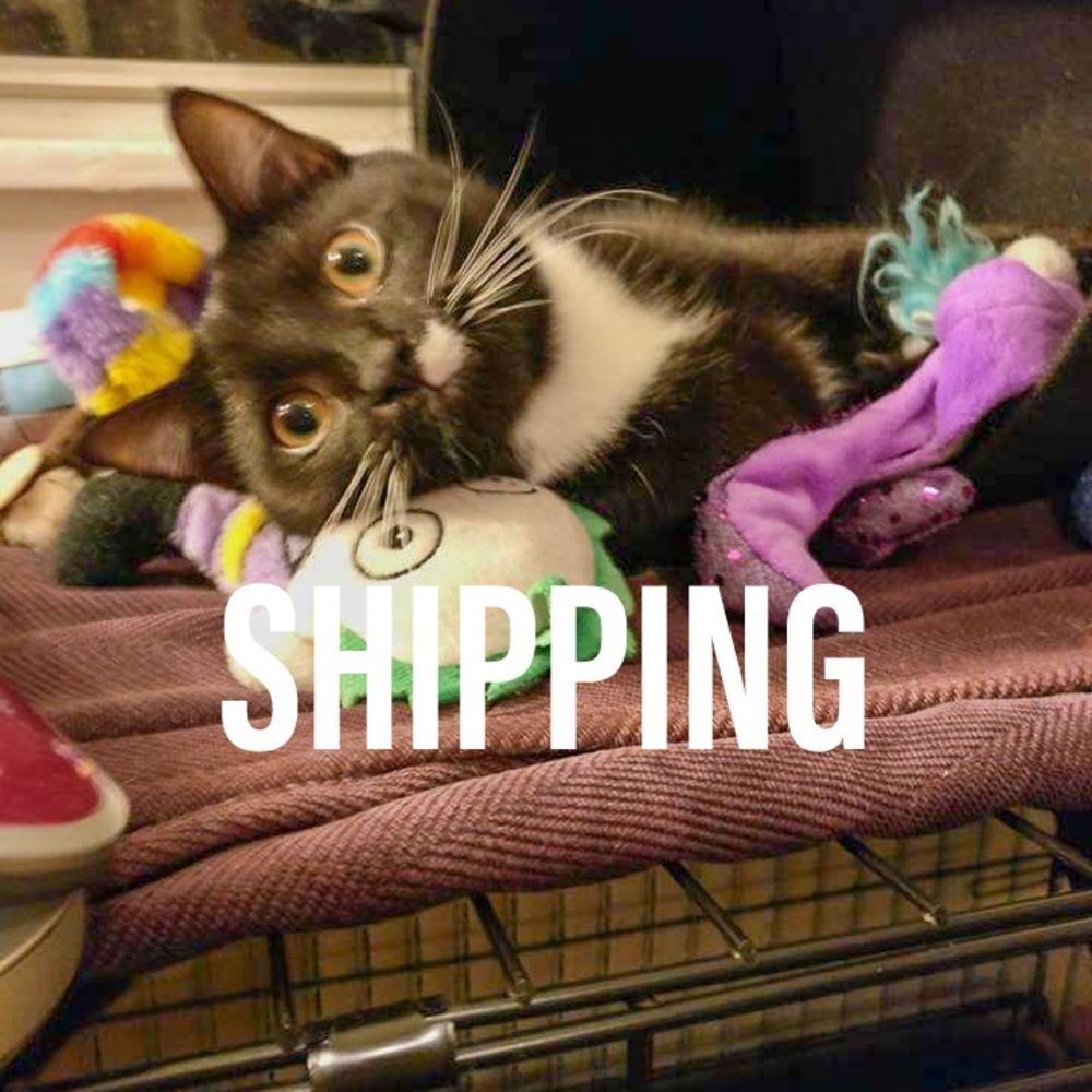 Not For Sale. Shipping details.
